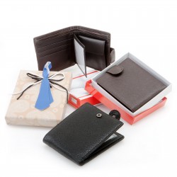 Cartera caballero surtida